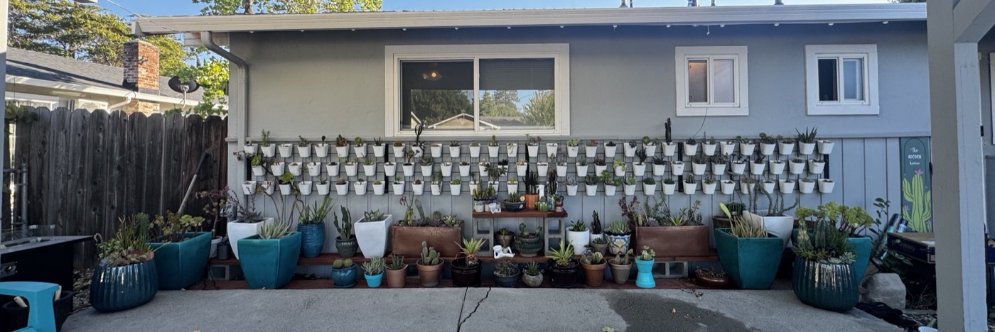 A house wall hung with rows of white wall-mounted pots of succulents, with larger glazed planters and potted cacti along the ground beneath